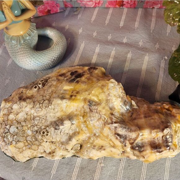 DECOUPAGE OYSTER SHELL DECOUPAGE OYSTER OCEAN SCENE TRINKET DISH - Picture 12 of 12